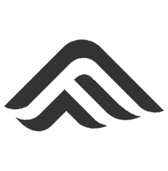 FLANDRA DYNAMICS GROUP Logo